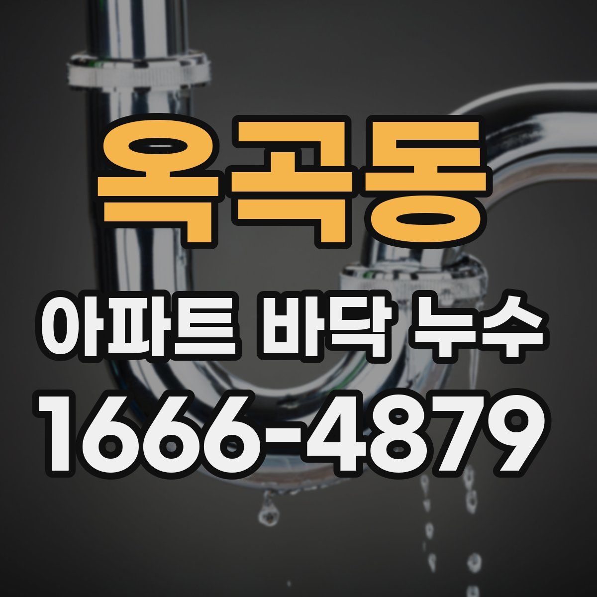 옥곡동 아파트 바닥 누수