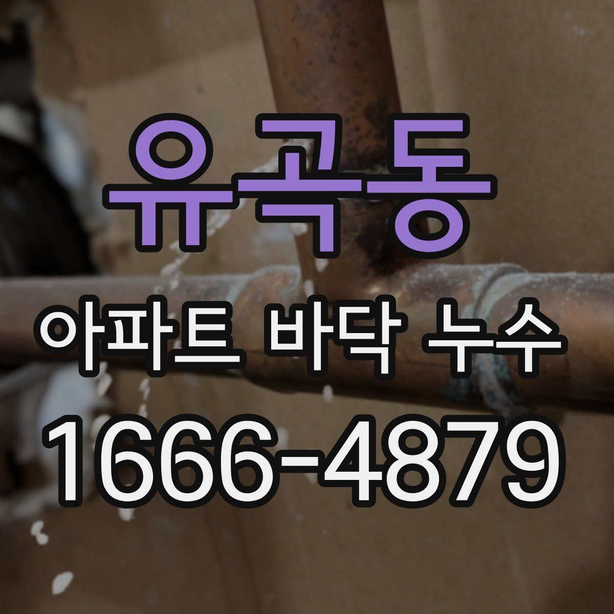유곡동 아파트 바닥 누수