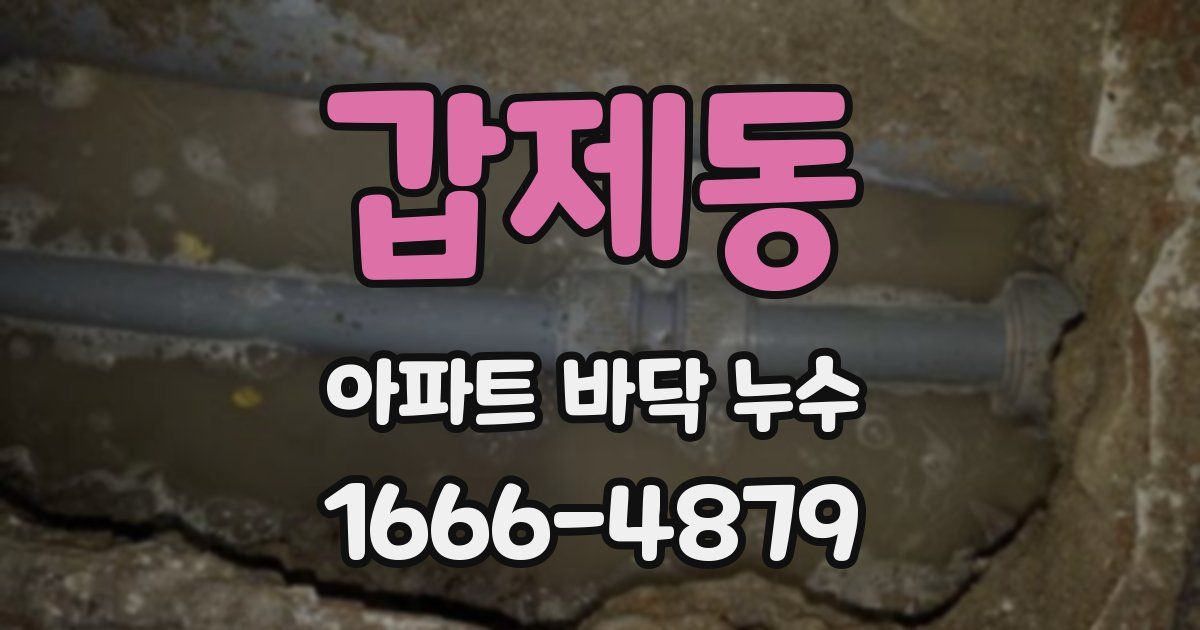 갑제동 아파트 바닥 누수