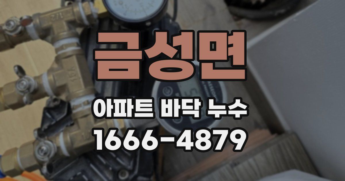 금성면 아파트 바닥 누수