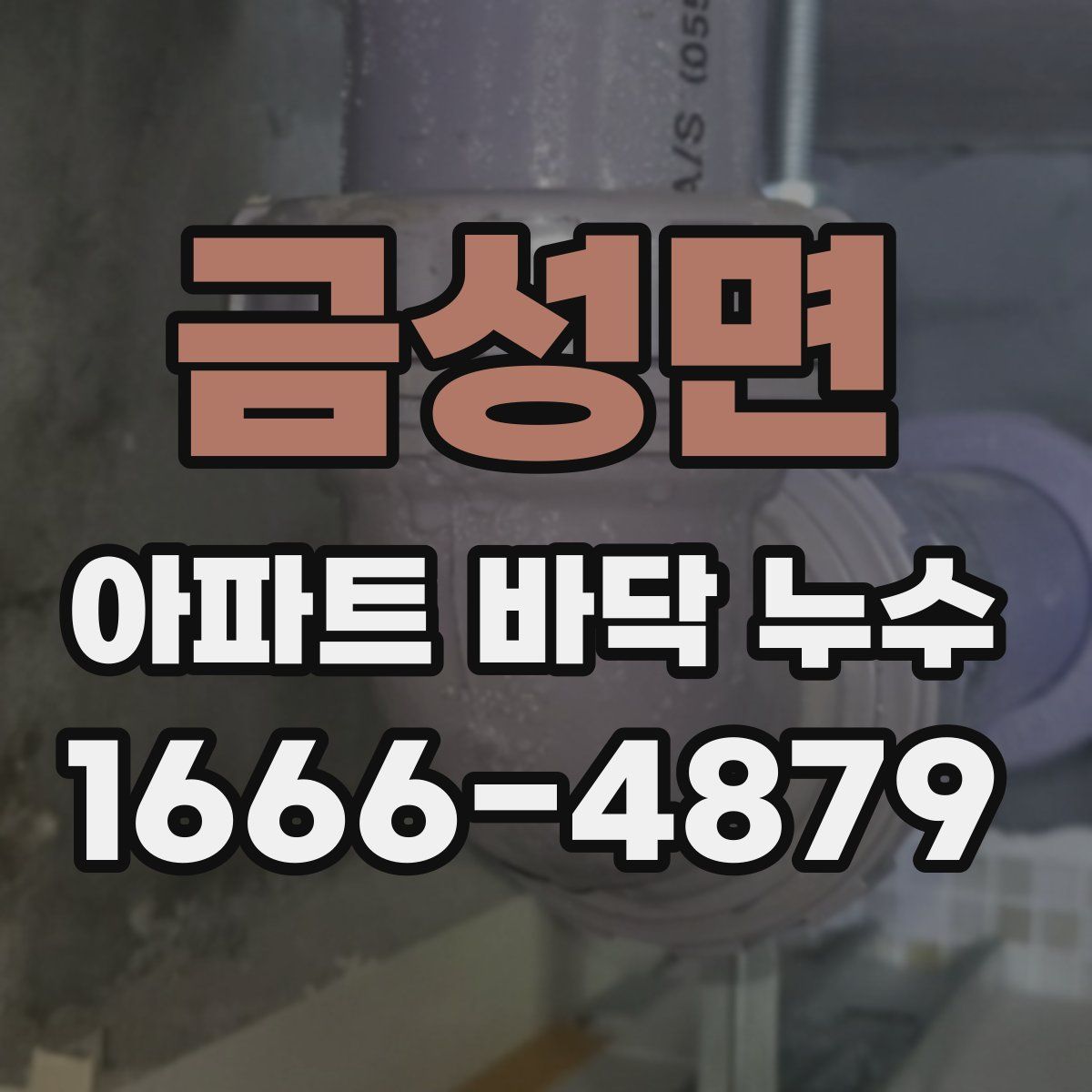 금성면 아파트 바닥 누수