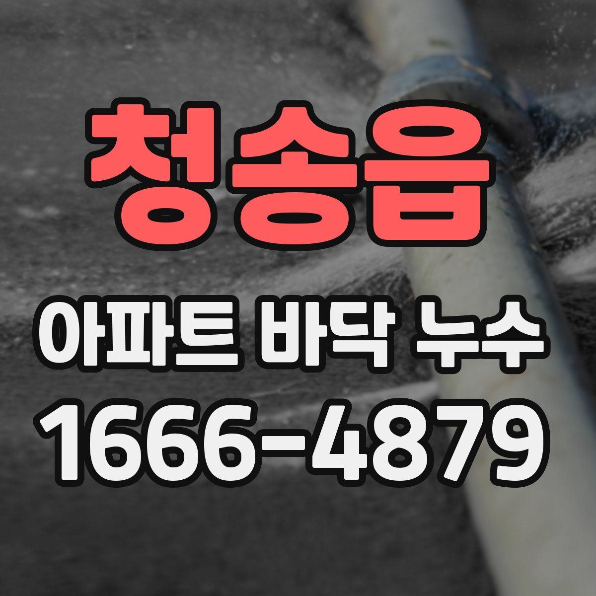 청송읍 아파트 바닥 누수