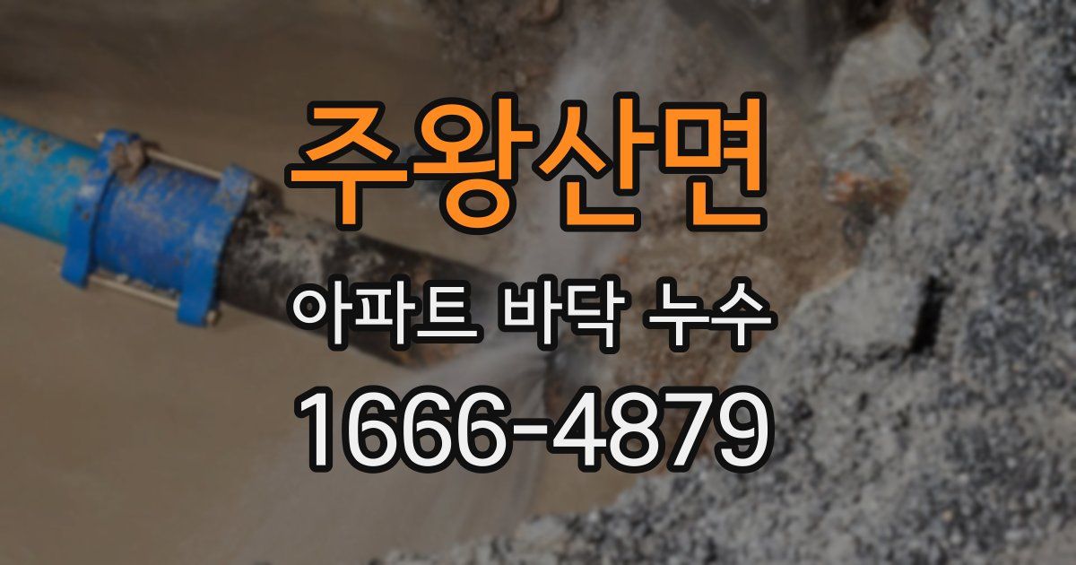 주왕산면 아파트 바닥 누수