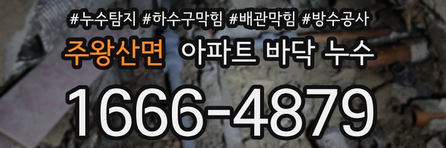 주왕산면 아파트 바닥 누수