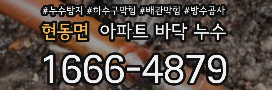 현동면 아파트 바닥 누수