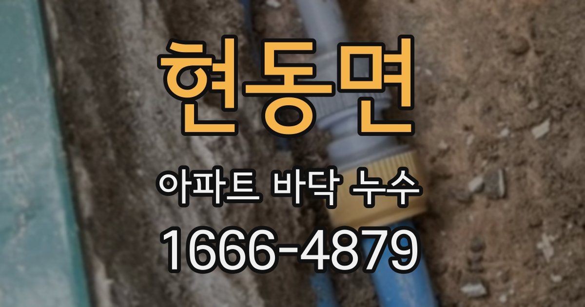 현동면 아파트 바닥 누수