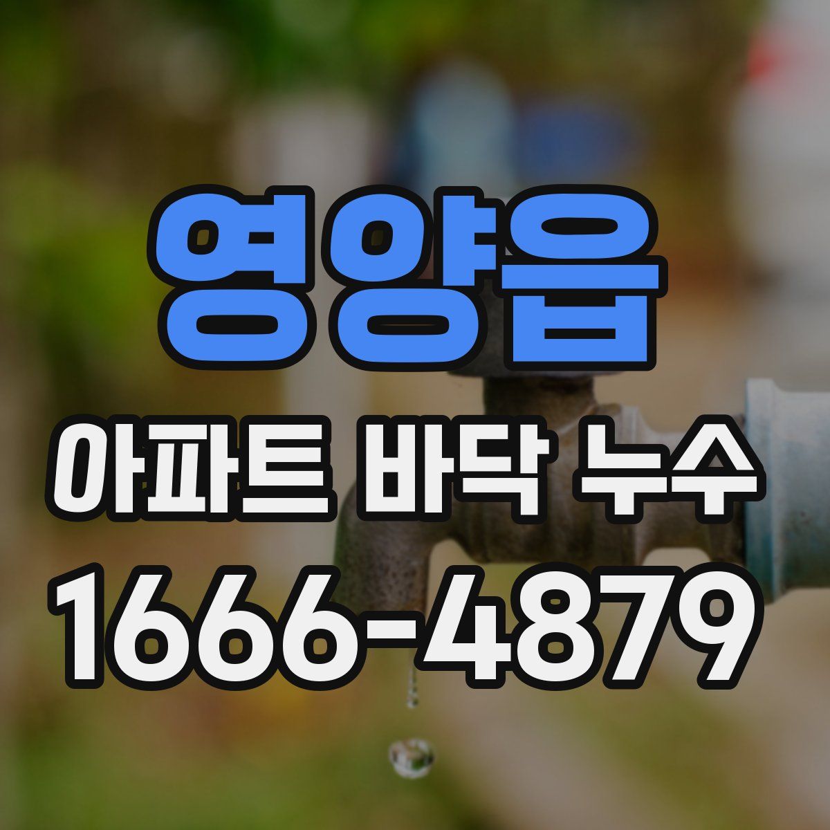 영양읍 아파트 바닥 누수