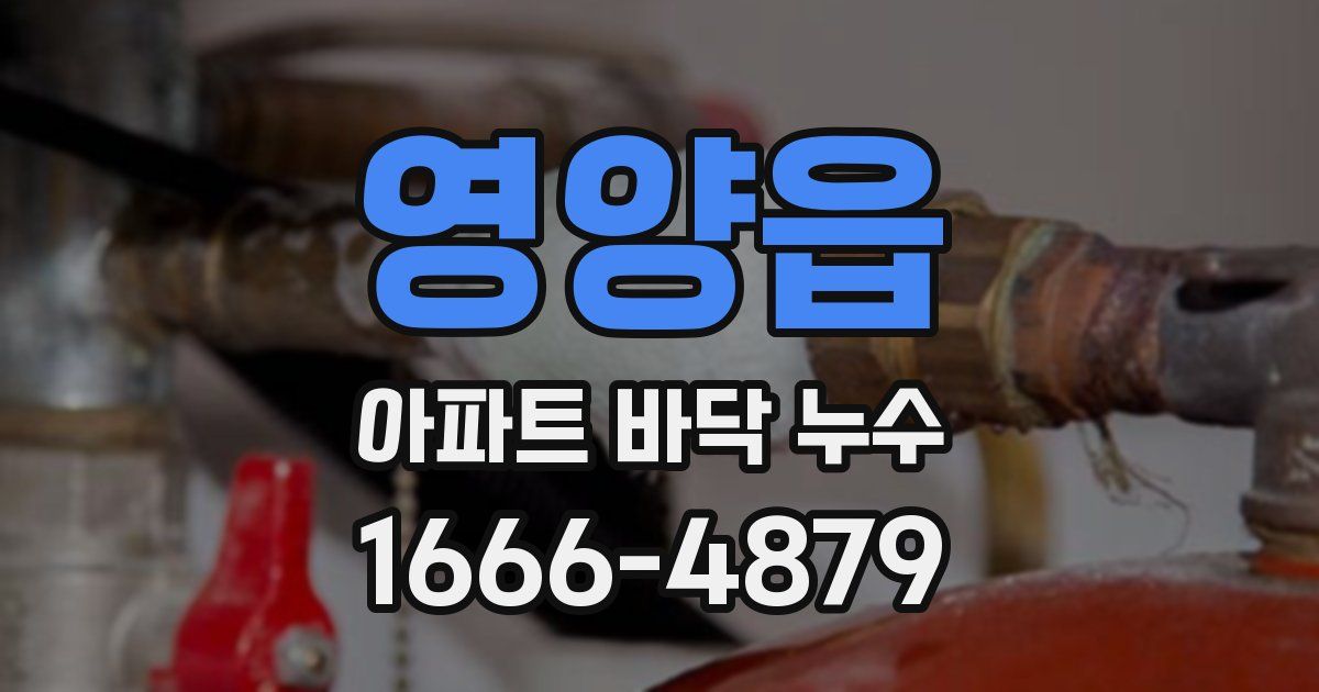 영양읍 아파트 바닥 누수