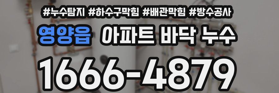 영양읍 아파트 바닥 누수