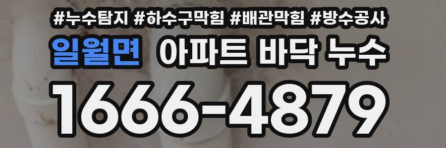 일월면 아파트 바닥 누수