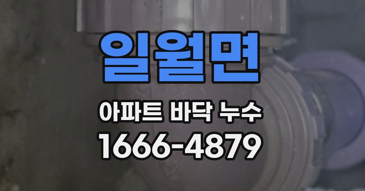 일월면 아파트 바닥 누수