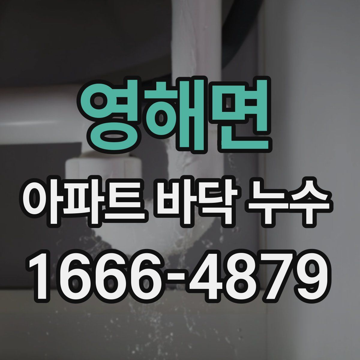 영해면 아파트 바닥 누수