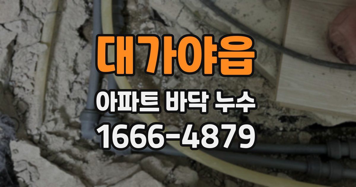 대가야읍 아파트 바닥 누수