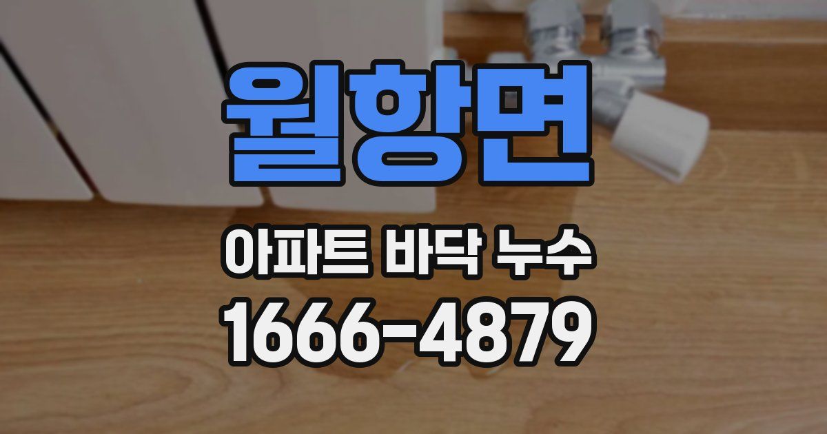 월항면 아파트 바닥 누수