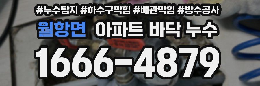 월항면 아파트 바닥 누수