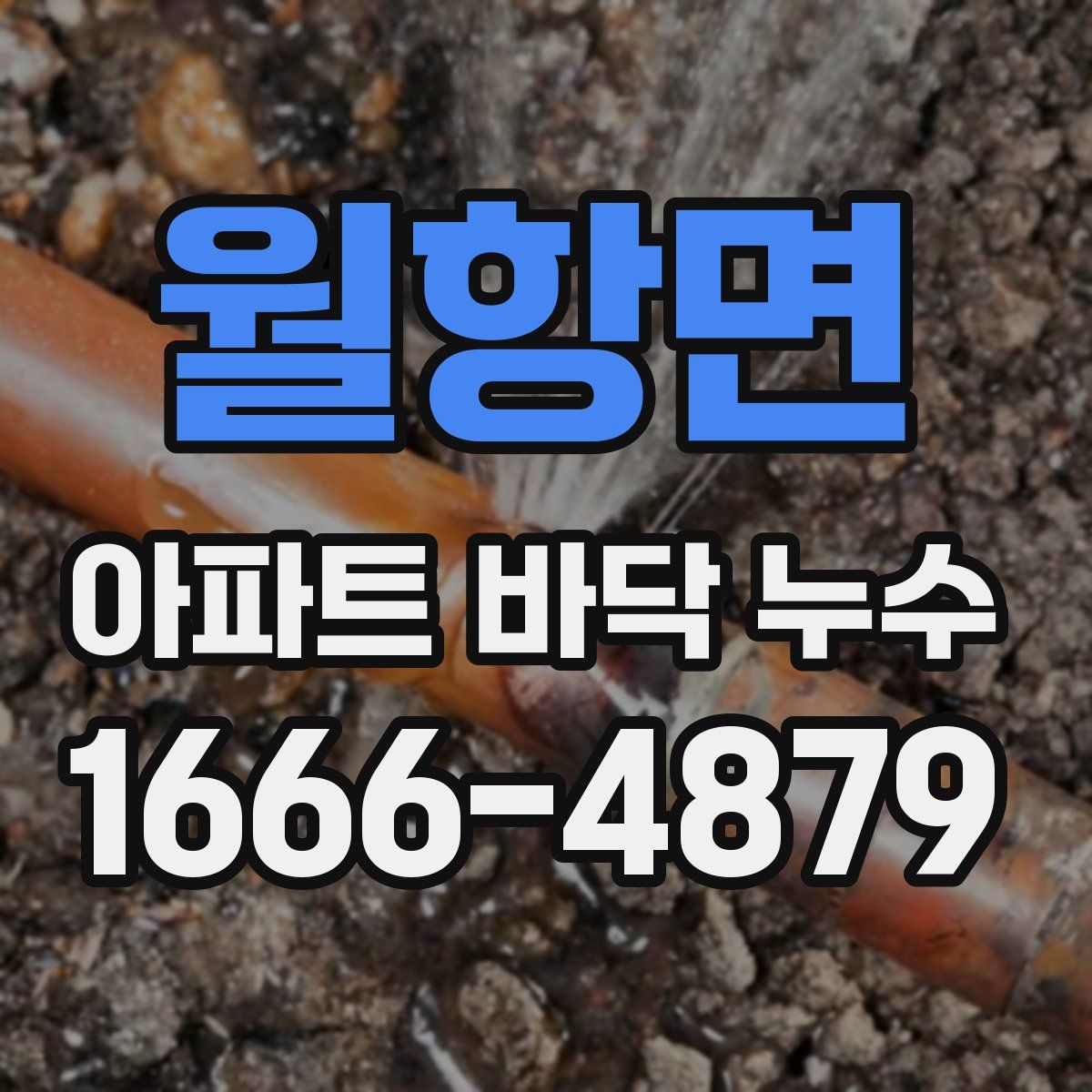 월항면 아파트 바닥 누수