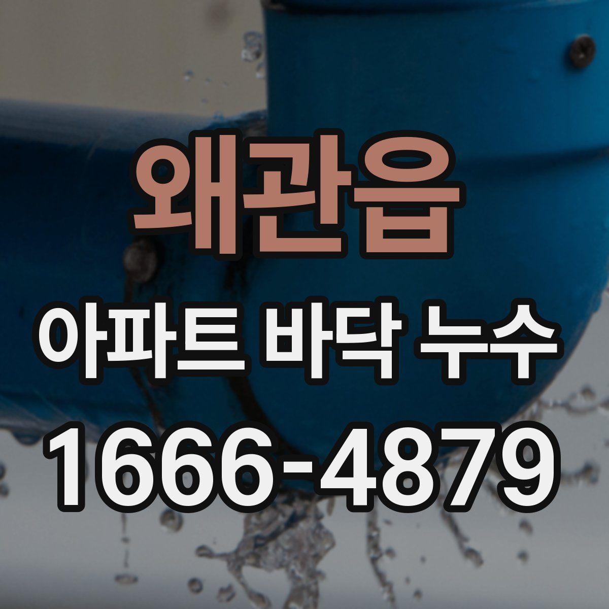 왜관읍 아파트 바닥 누수