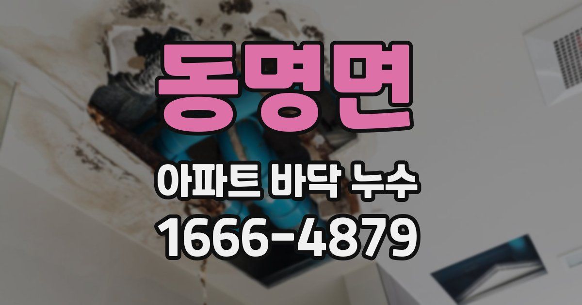동명면 아파트 바닥 누수