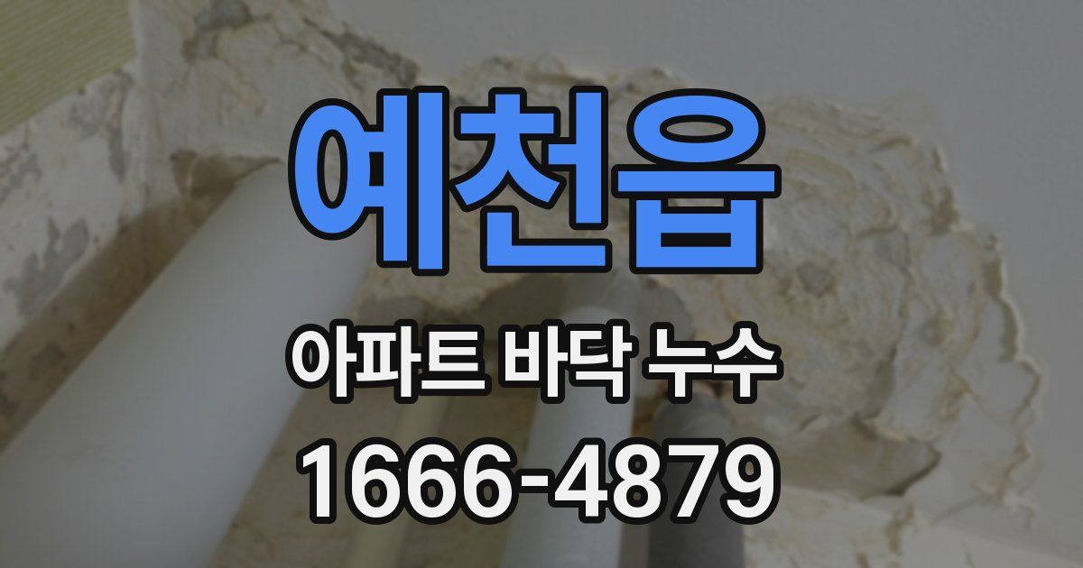 예천읍 아파트 바닥 누수