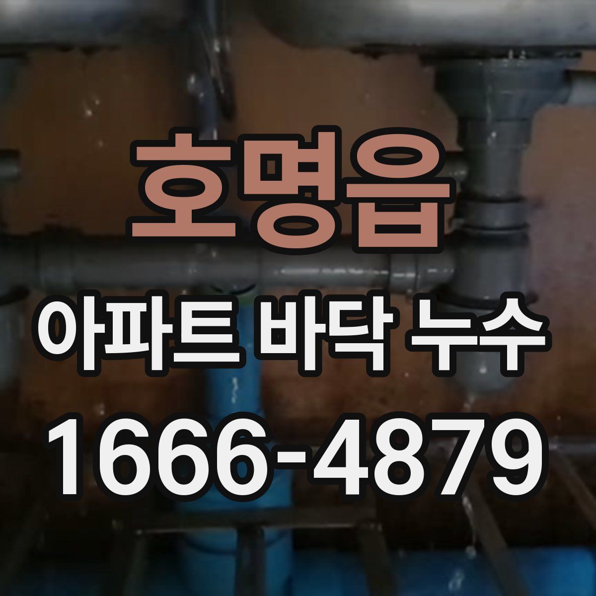 호명읍 아파트 바닥 누수