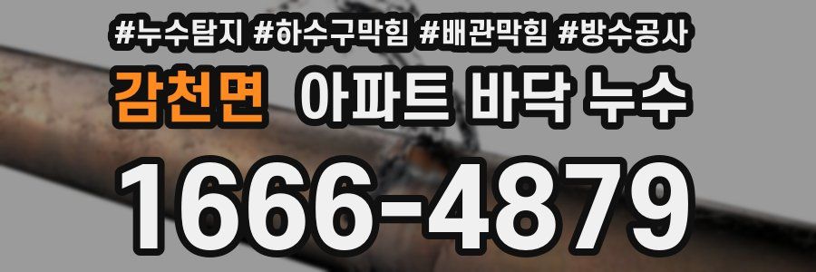 감천면 아파트 바닥 누수