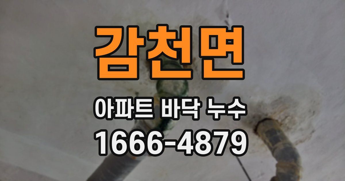 감천면 아파트 바닥 누수