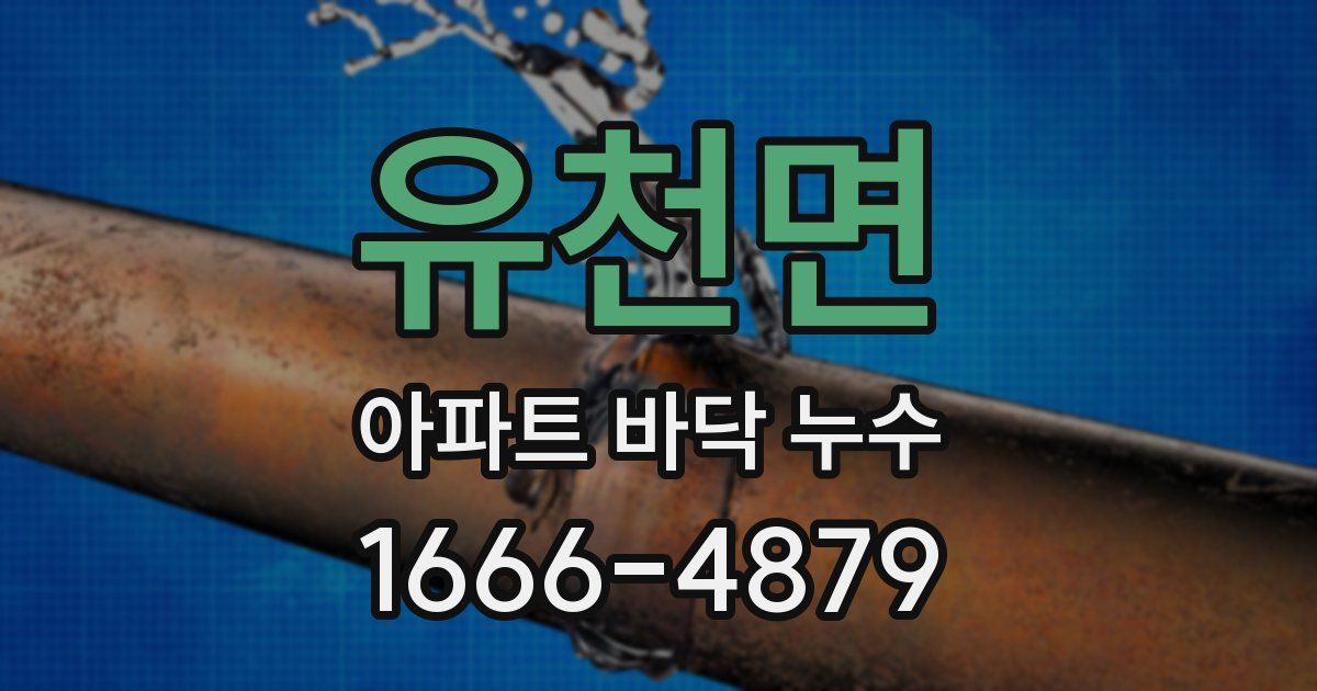 유천면 아파트 바닥 누수