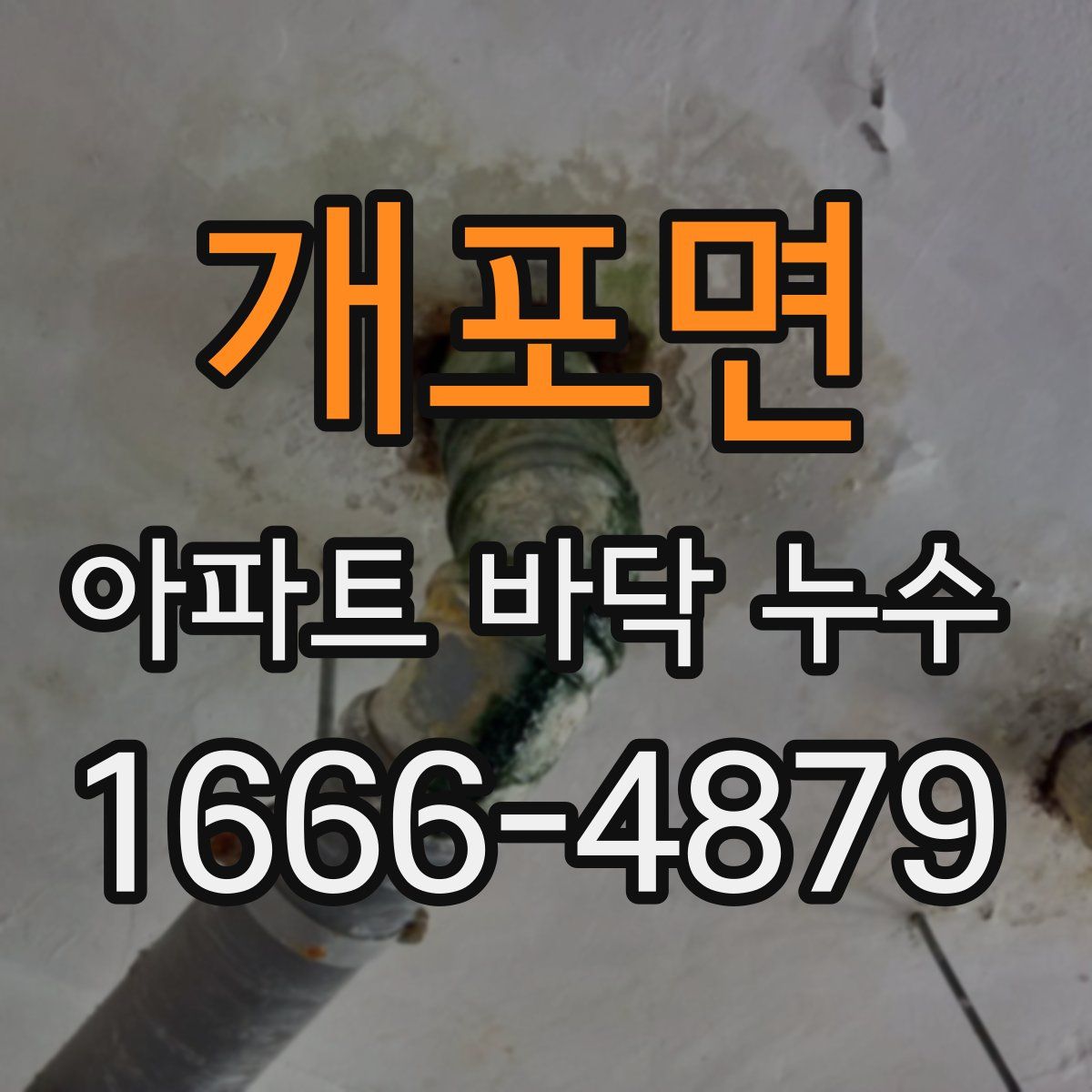 개포면 아파트 바닥 누수