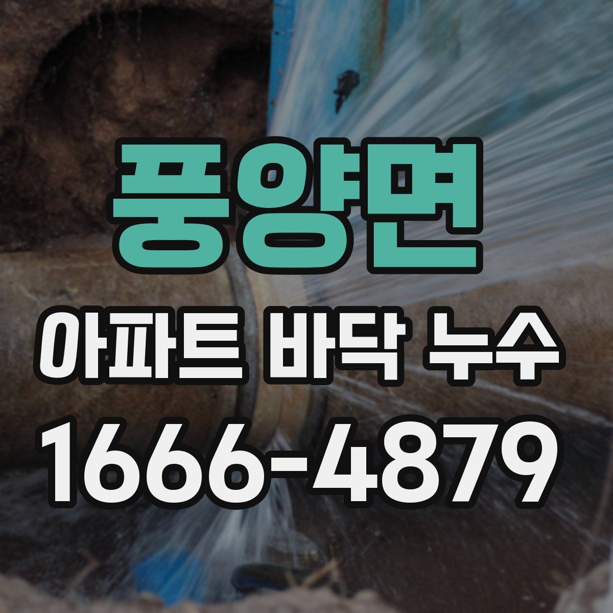 풍양면 아파트 바닥 누수