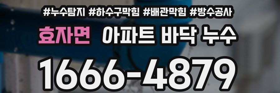 효자면 아파트 바닥 누수