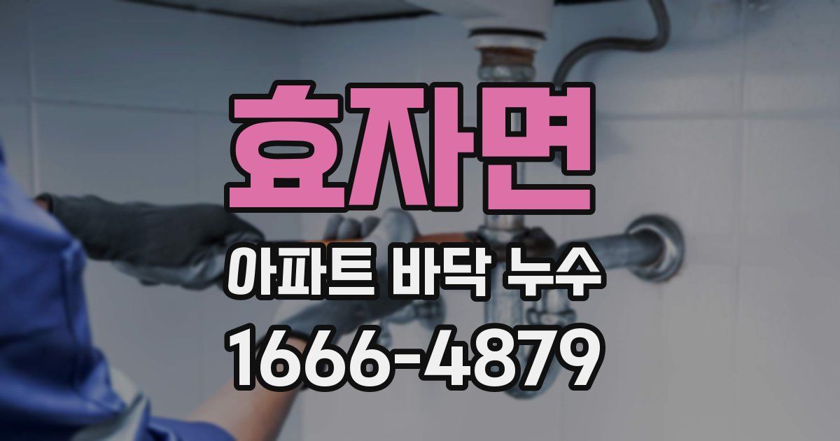 효자면 아파트 바닥 누수