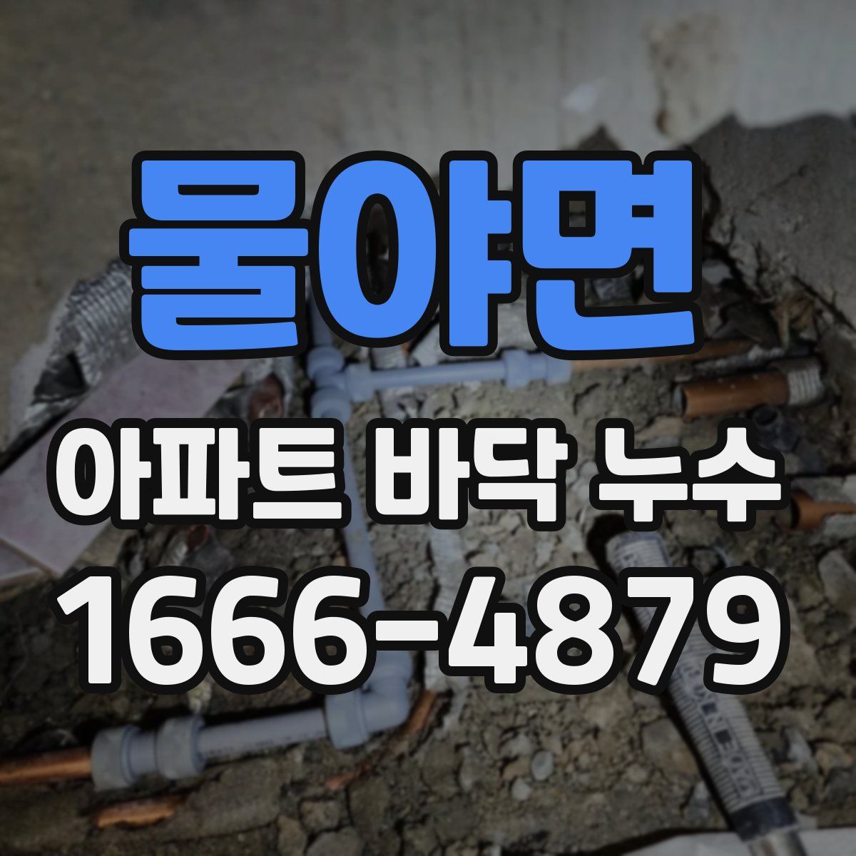 물야면 아파트 바닥 누수
