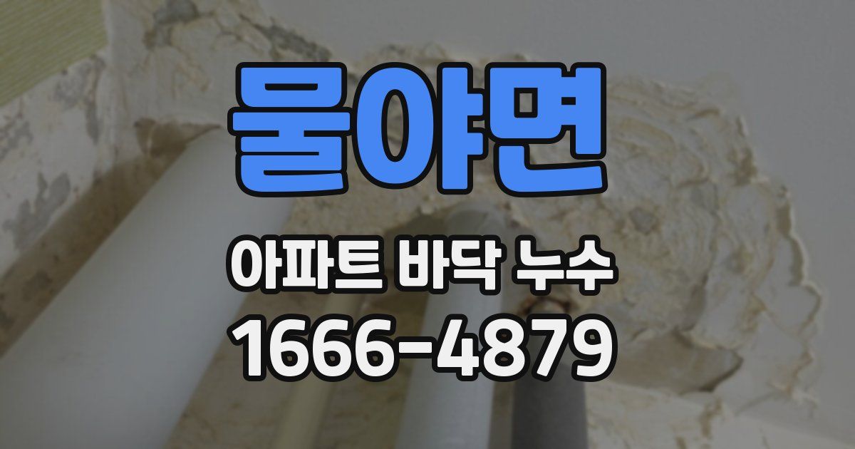 물야면 아파트 바닥 누수