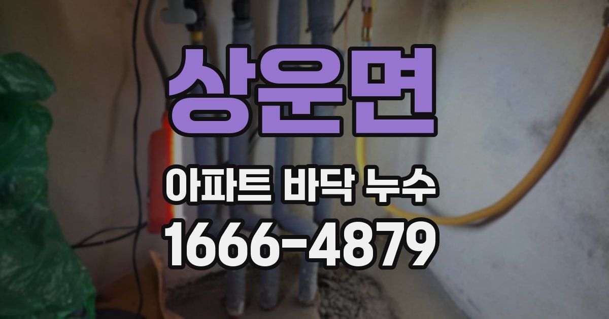 상운면 아파트 바닥 누수