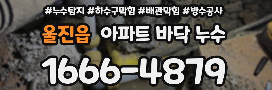 울진읍 아파트 바닥 누수