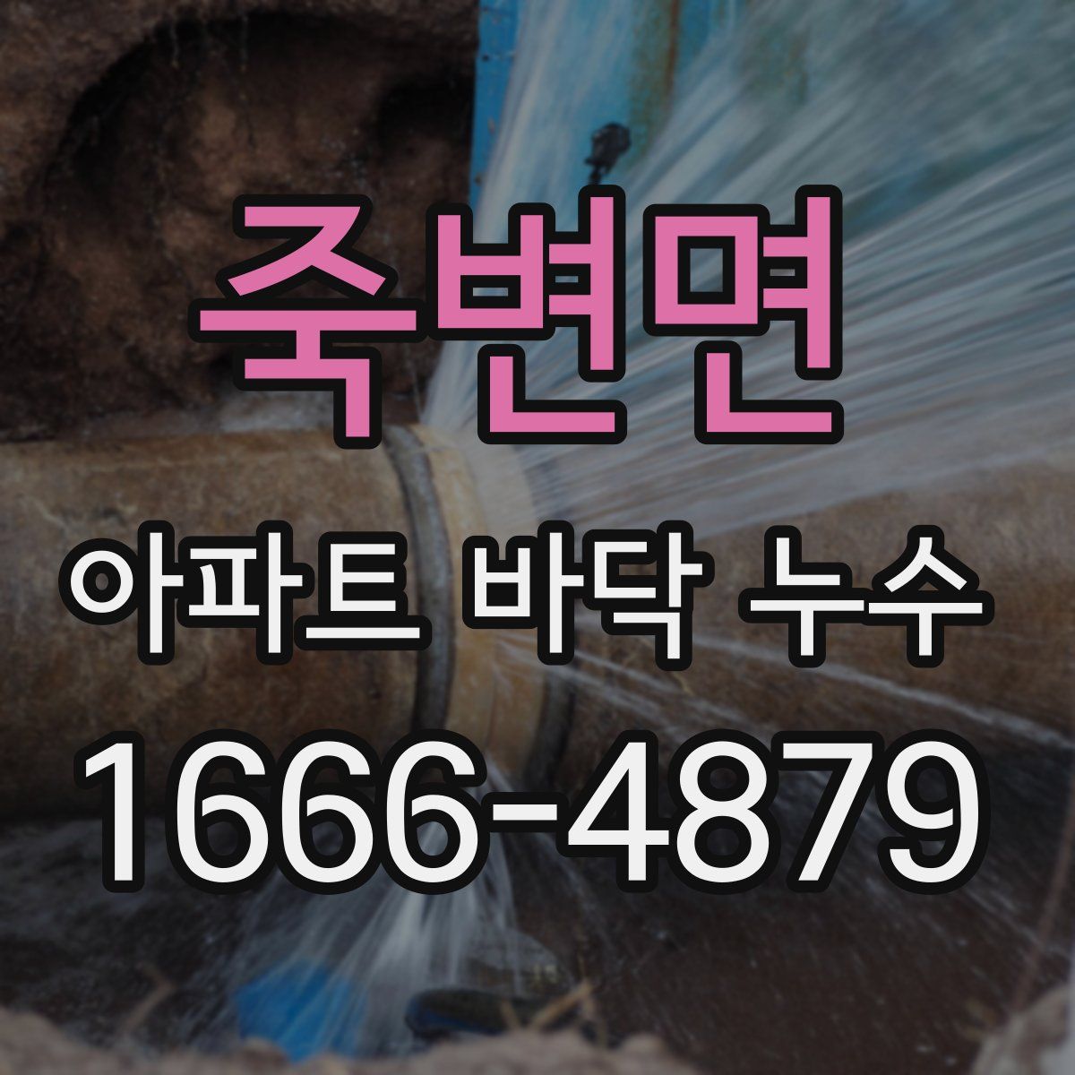 죽변면 아파트 바닥 누수