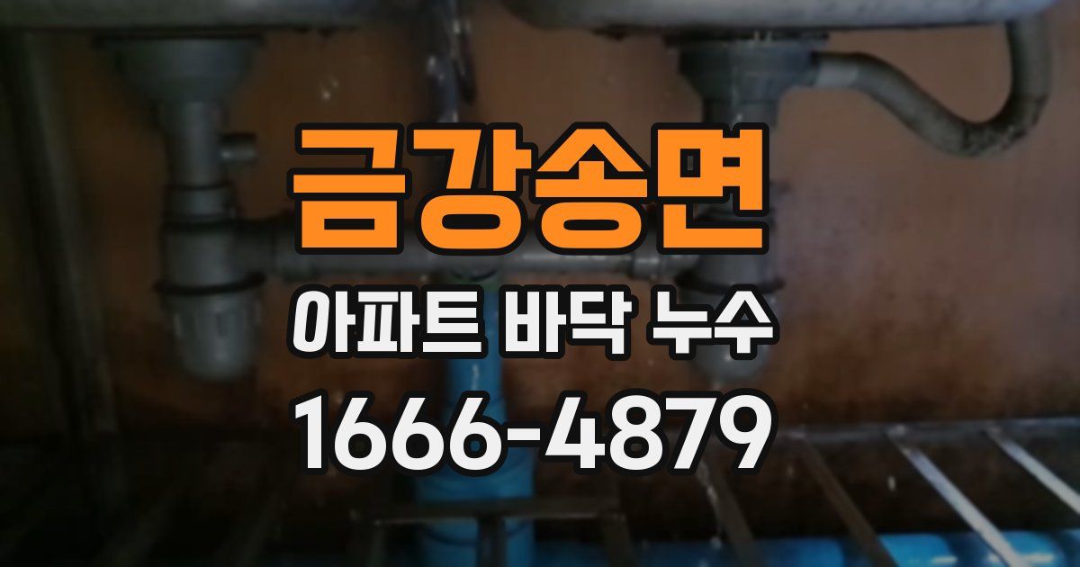 금강송면 아파트 바닥 누수