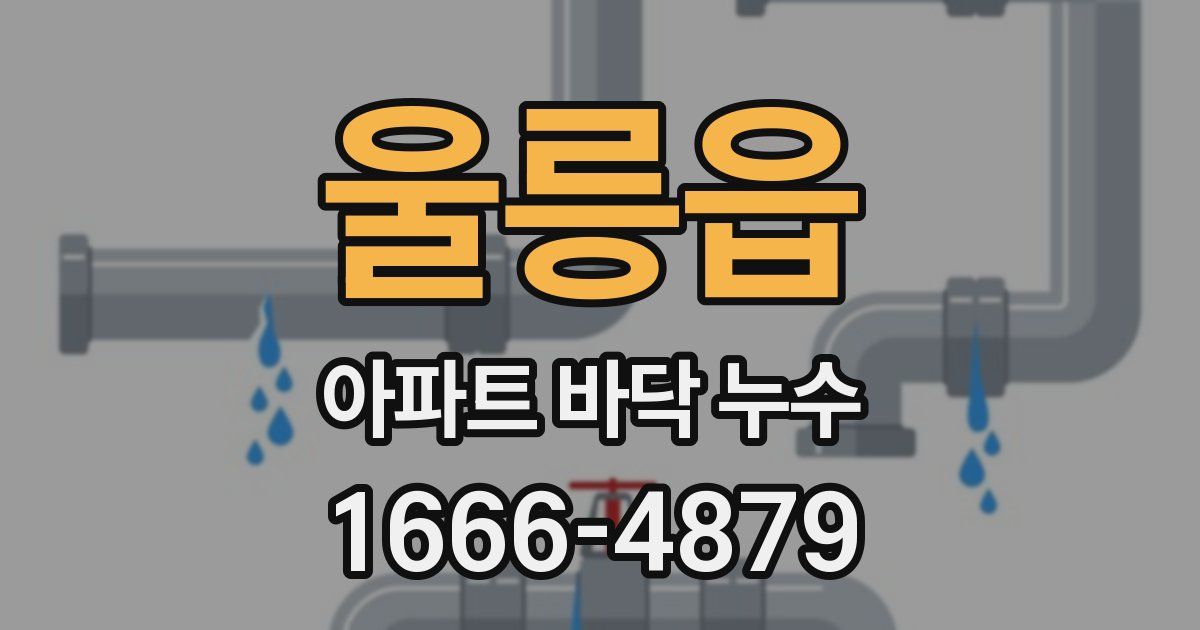 울릉읍 아파트 바닥 누수