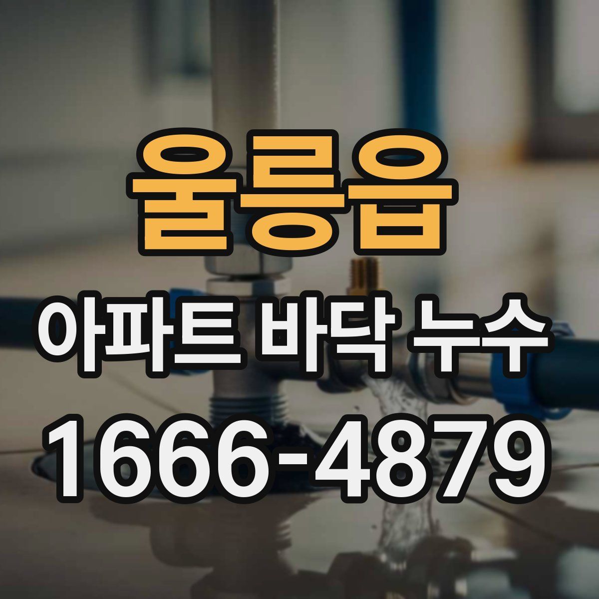 울릉읍 아파트 바닥 누수