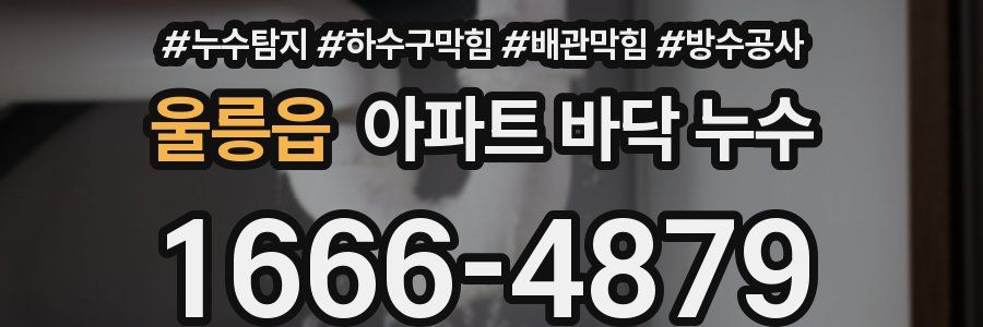 울릉읍 아파트 바닥 누수