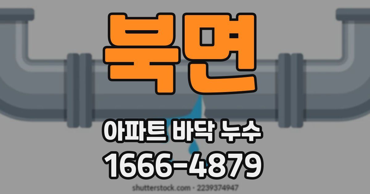 북면 아파트 바닥 누수