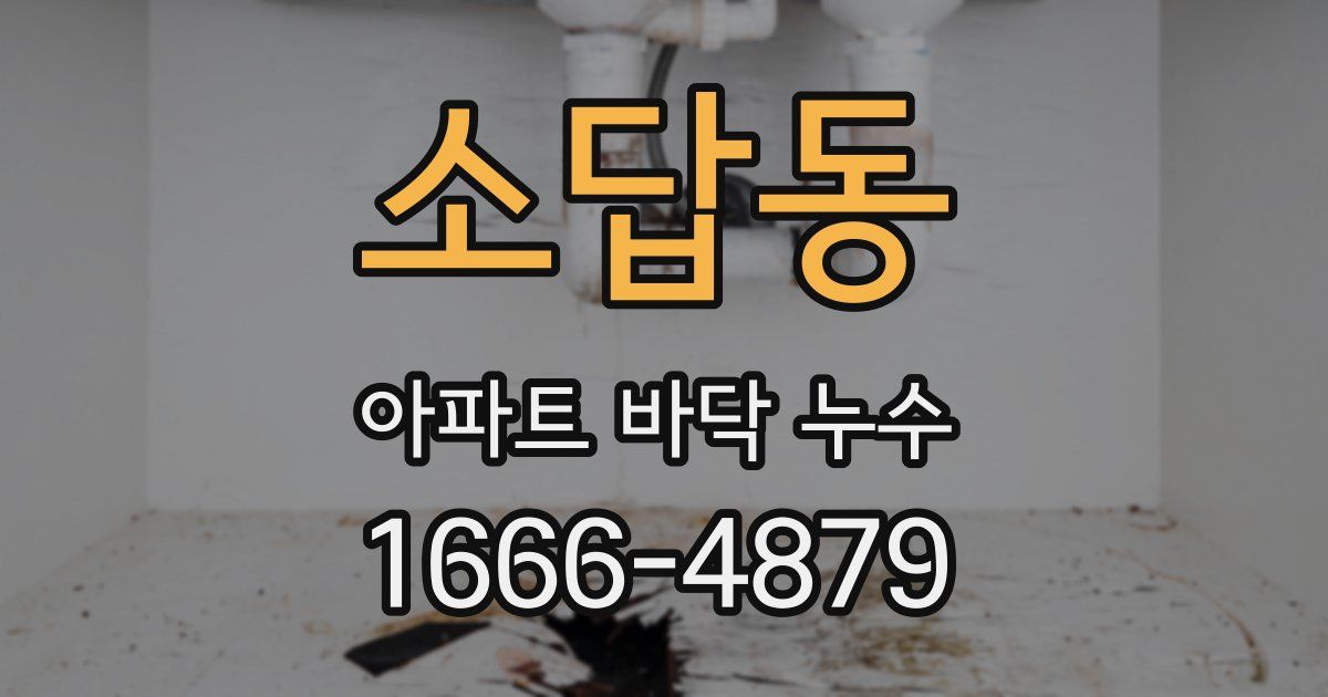 소답동 아파트 바닥 누수