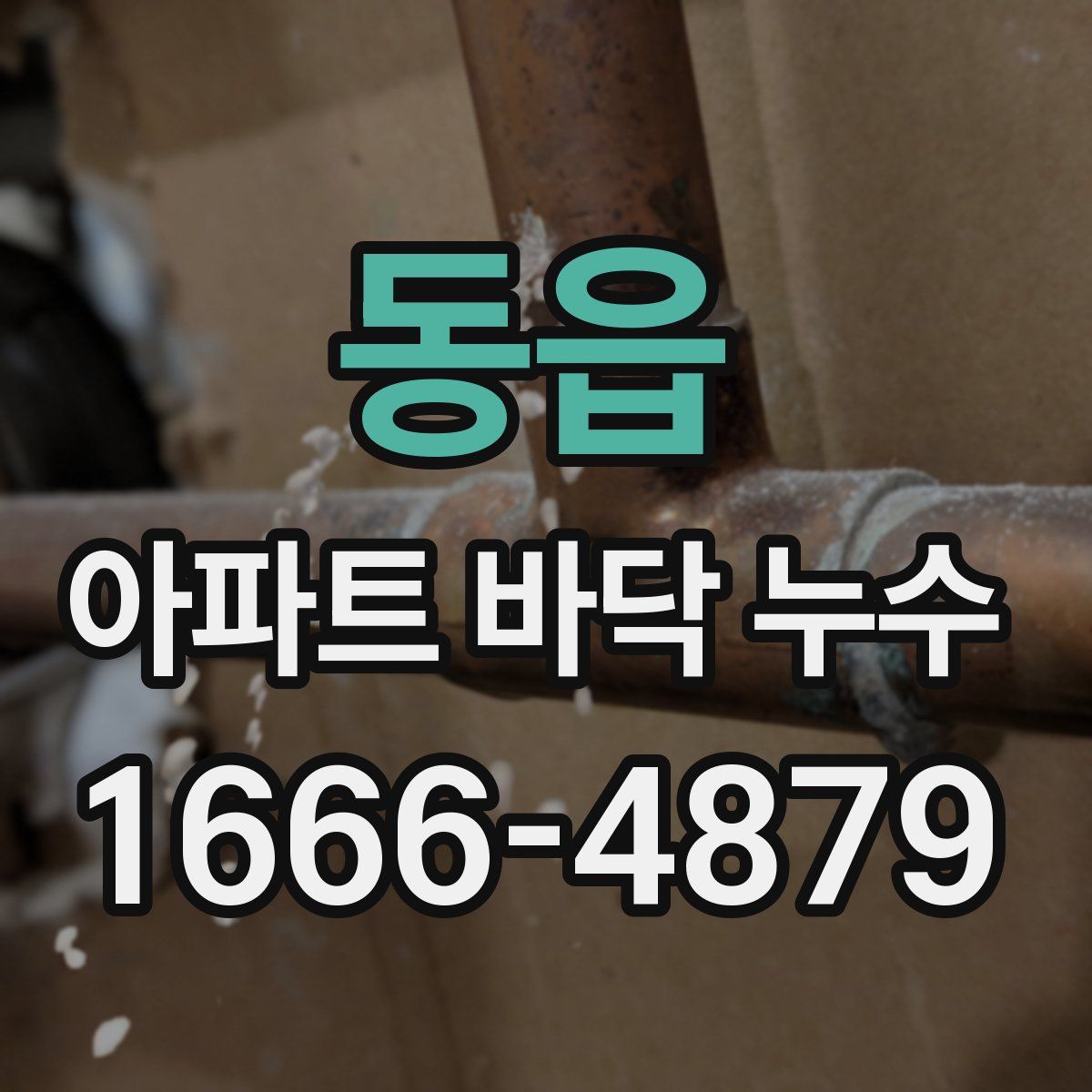 동읍 아파트 바닥 누수