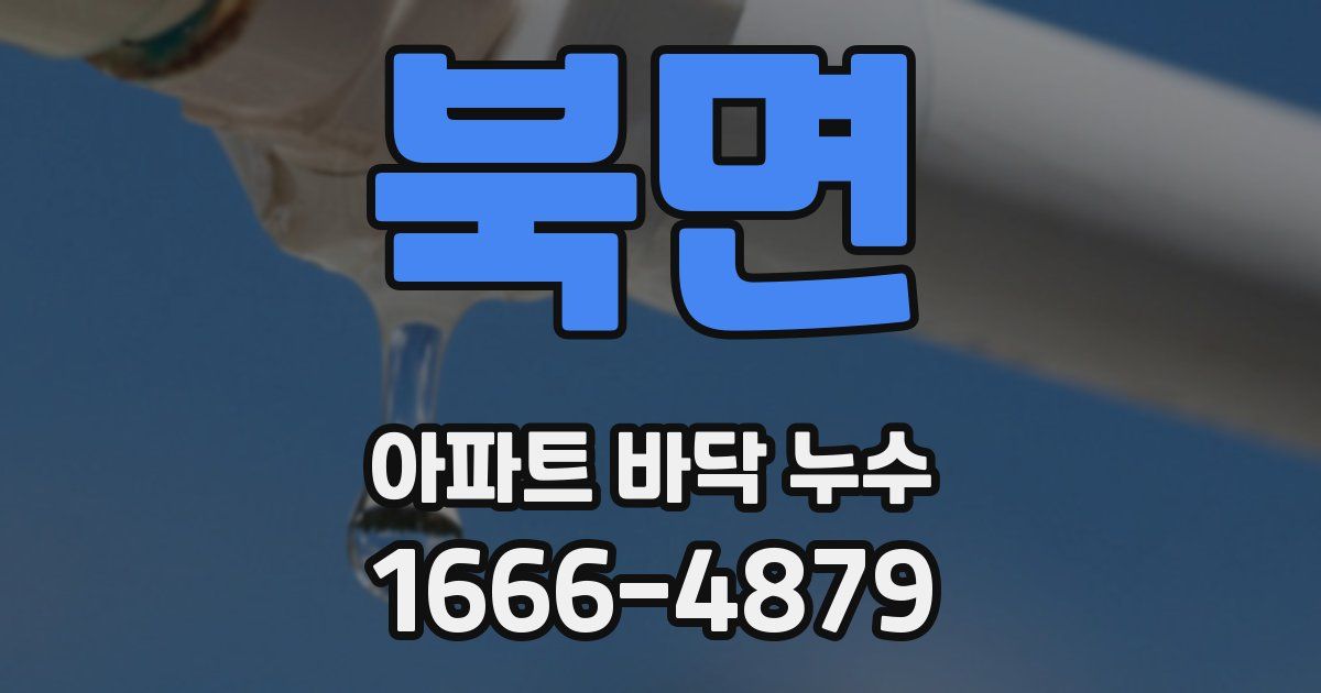 북면 아파트 바닥 누수