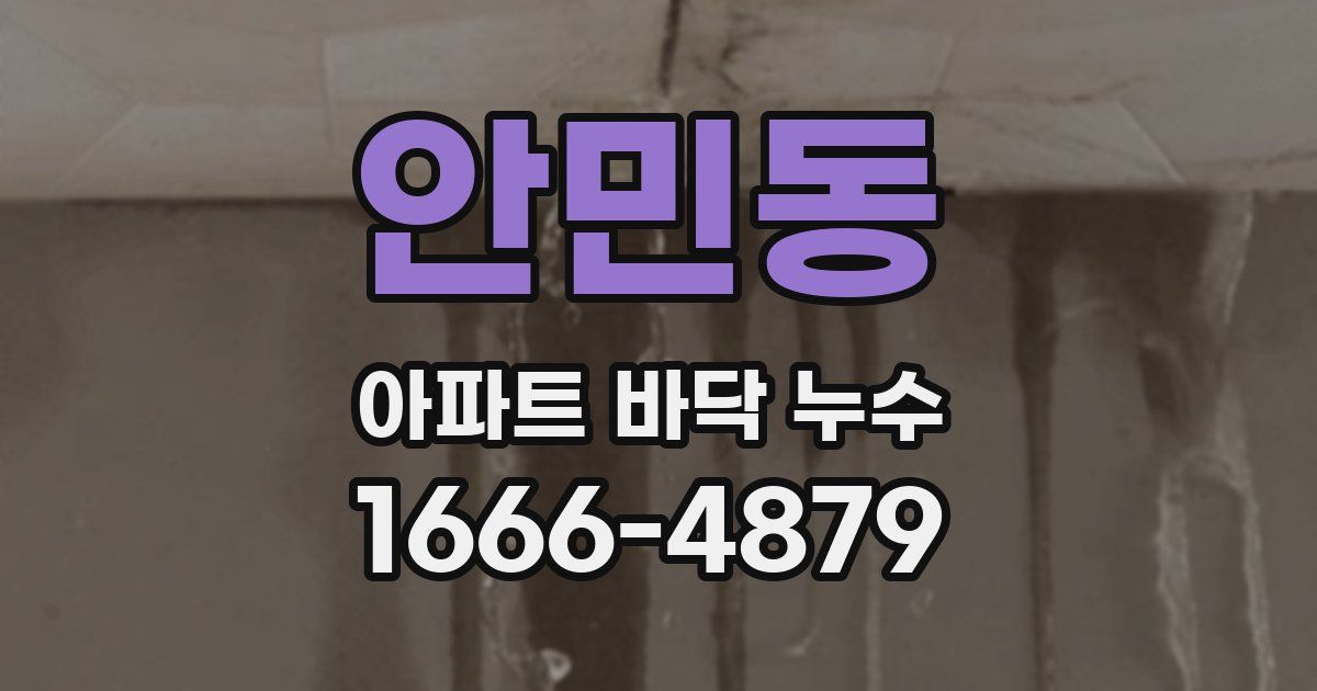 안민동 아파트 바닥 누수