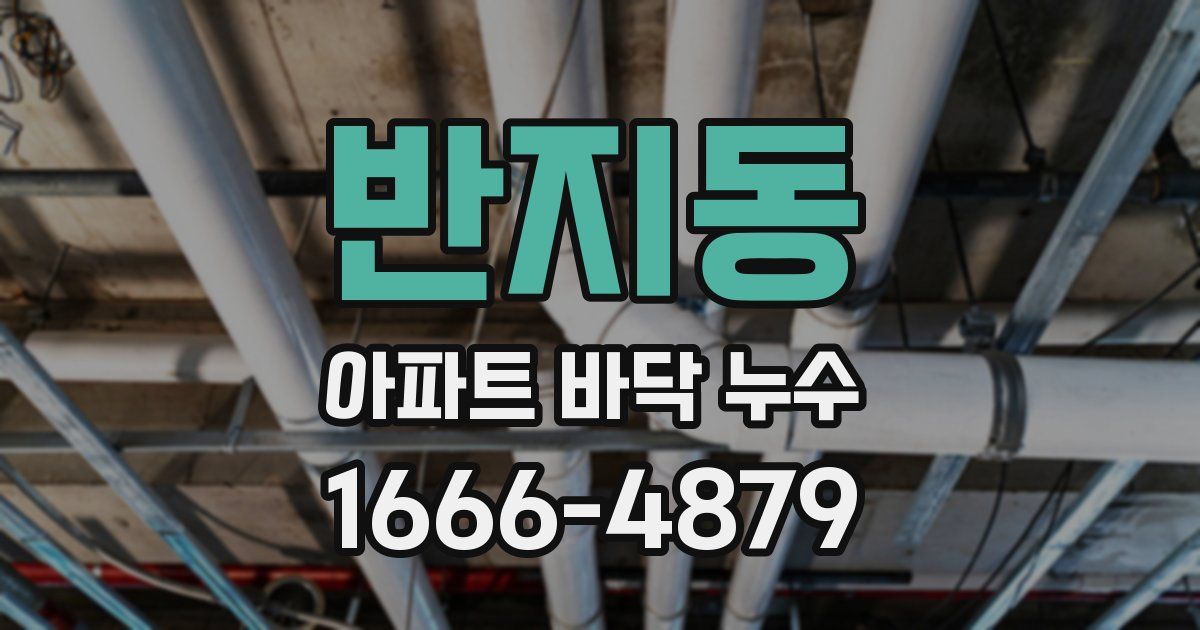 반지동 아파트 바닥 누수