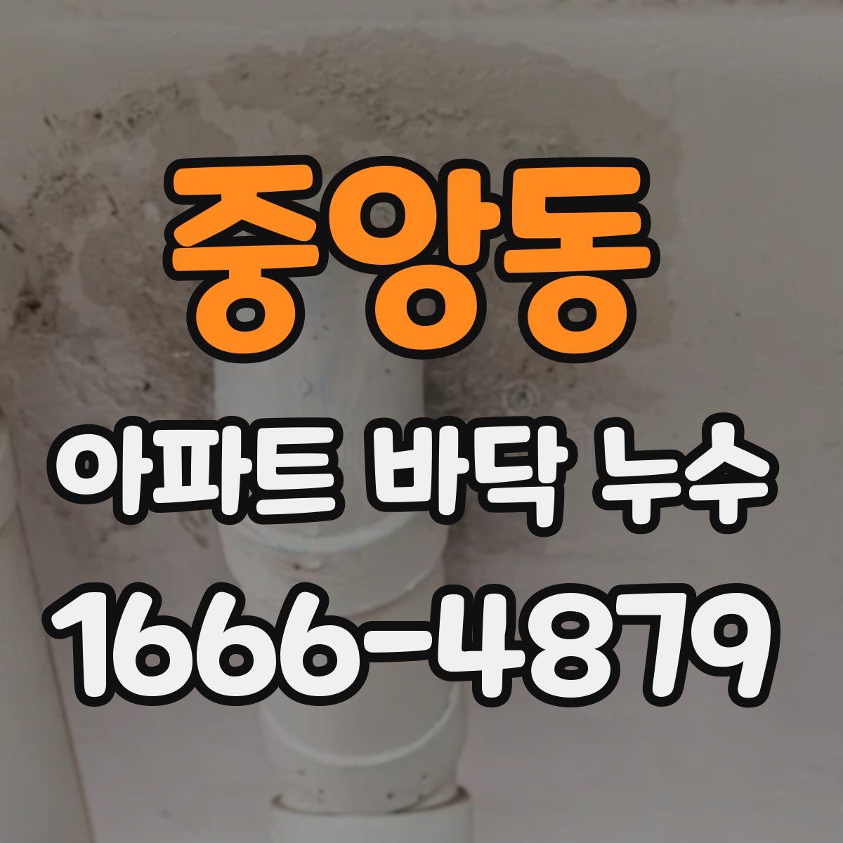 중앙동 아파트 바닥 누수