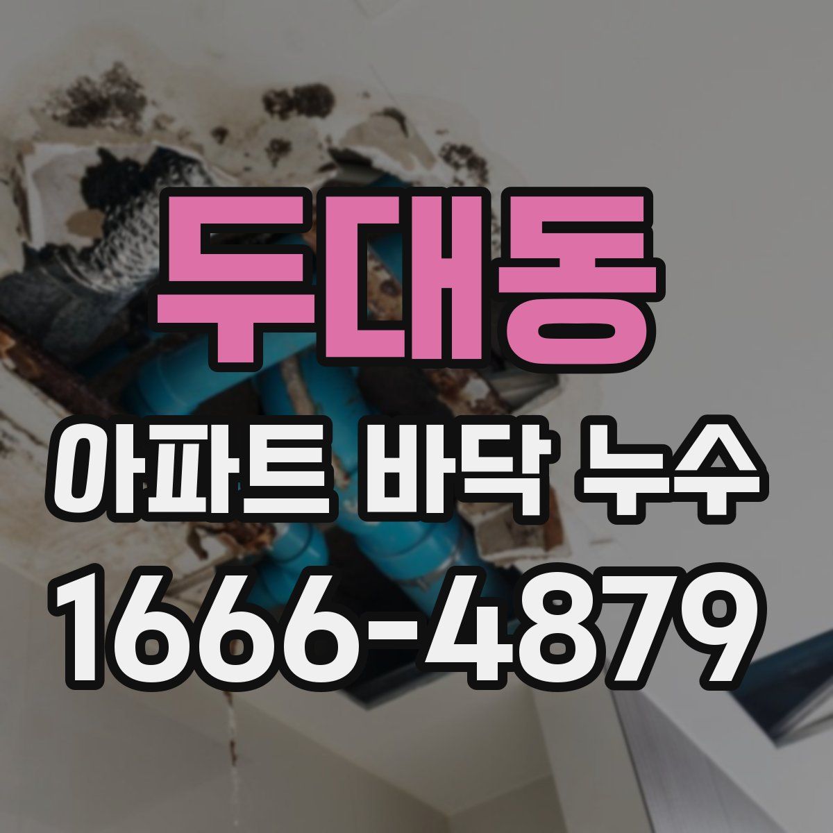 두대동 아파트 바닥 누수