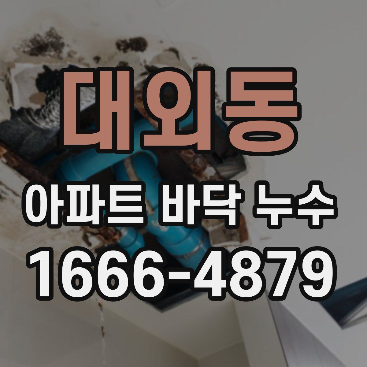 대외동 아파트 바닥 누수