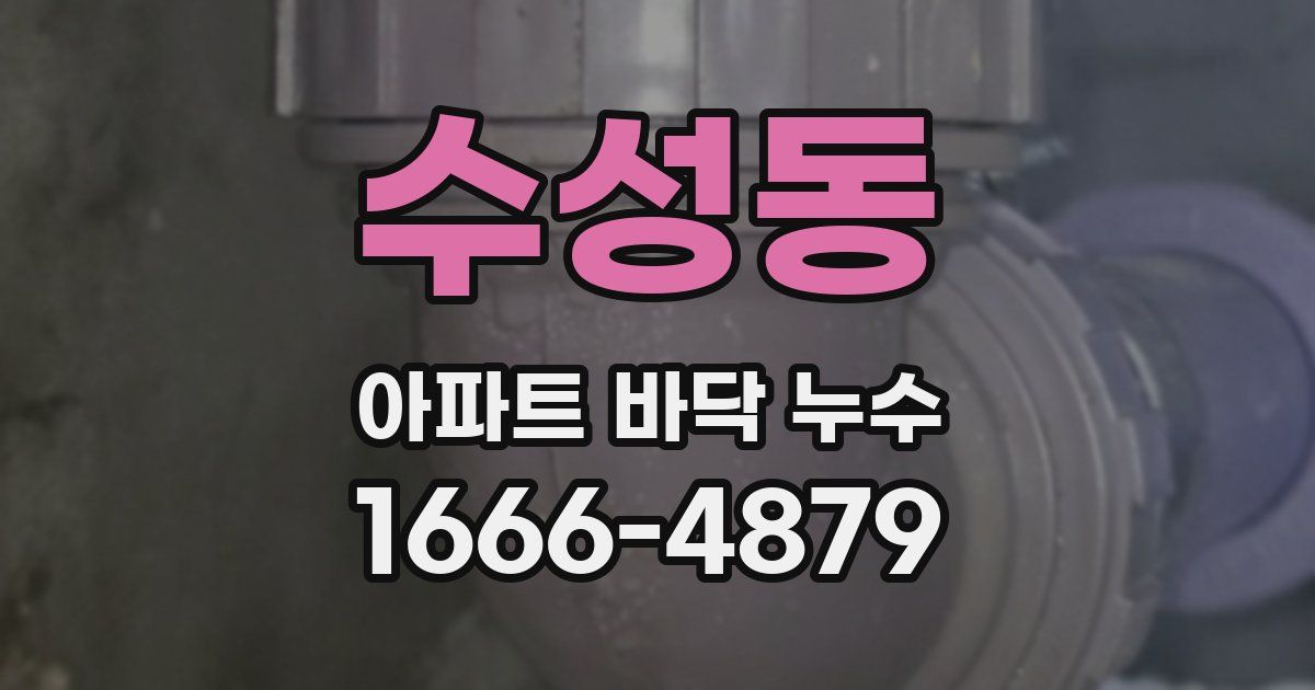 수성동 아파트 바닥 누수